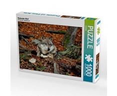CALVENDO Puzzle Ruhender Wolf 1000 Teile Lege-Größe 64 x 48 cm Foto-Puzzle Bild von GUGIGEI