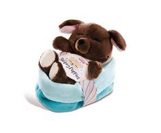 Nici 45372 Kuscheltier Sleeping Puppies Hund 12cm, Flauschiges Plüschtier im blau-grünen Körbchen, süßes Stofftier für Kinder und Kuscheltierliebhaber, braun/türkis