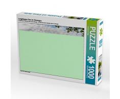 CALVENDO Puzzle Langbürgner See im Chiemgau 1000 Teile Lege-Größe 64 x 48 cm Foto-Puzzle Bild von Ursula Di Chito