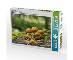 CALVENDO Puzzle Pilze in unseren Wäldern 1000 Teile Lege-Größe 64 x 48 cm Foto-Puzzle Bild von Avianaarts Design Fotografie by Tanja Riedel