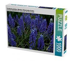 Traubenhyazinthen. Montreal, Botanischer Garten 1000 Teile Puzzle quer