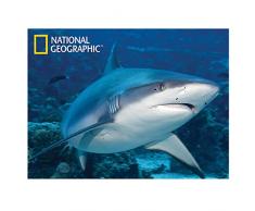 National Geographic ng28543 Great White Shark Super 3D Kinder Wand Poster