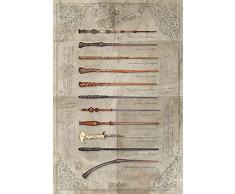Wizarding World G874440 Harry Potter Poster Wand Chooses The Wizard, Mehrfarbig, 61 x 91.5 cm, 2 Einzelteil