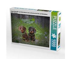 CALVENDO Puzzle August Schnuffel vom Schwindauer Land, schwarz-rot mit Ida von Kleinhehlen, braun, Rauhaar 1000 Teile Lege-Größe 64 x 48 cm Foto-Puzzle Bild von Anja Foto Grafia Fotografie