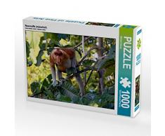 CALVENDO Puzzle Nasenaffe (männlich) 1000 Teile Lege-Größe 64 x 48 cm Foto-Puzzle Bild von Michael Herzog