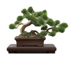 Good Smile Company pz03867 die Bonsai Wiederauflage Plastic Model Kit 1 Play Set