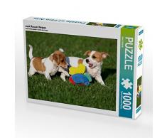 CALVENDO Puzzle Jack Russel Welpen 1000 Teile Lege-Größe 64 x 48 cm Foto-Puzzle Bild von Berit Seiboth