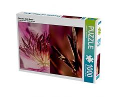 Clematis Nelly Moser 1000 Teile Puzzle quer