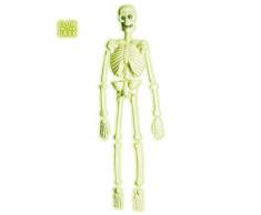 Widmann 5228S Dekoration Skelett, Unisex – Erwachsene, Weiß, Taglia Unica