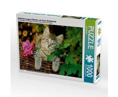 Niedliches junges Kätzchen auf einem Weidenkorb 1000 Teile Puzzle quer