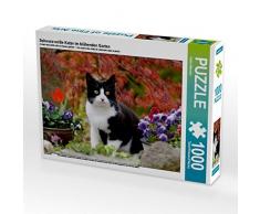CALVENDO Puzzle Schwarz-weiße Katze im blühenden Garten 1000 Teile Lege-Größe 64 x 48 cm Foto-Puzzle Bild von Katho Menden