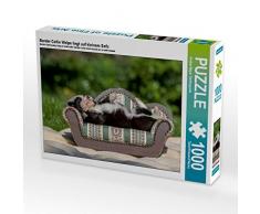 CALVENDO Puzzle Border Collie Welpe liegt auf kleinem Sofa 1000 Teile Lege-Größe 64 x 48 cm Foto-Puzzle Bild von Andrea Mayer Tierfotografie
