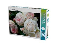 CALVENDO Puzzle Rosen im Garten 1000 Teile Lege-Größe 64 x 48 cm Foto-Puzzle Bild von Martina Cross
