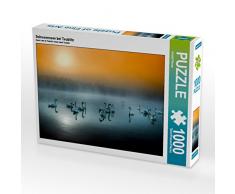 CALVENDO Puzzle Schwanensee bei Teublitz 1000 Teile Lege-Größe 64 x 48 cm Foto-Puzzle Bild von Rudolf Rinner