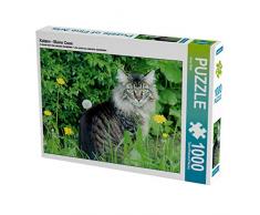 CALVENDO Puzzle Katzen - Maine Coon 1000 Teile Lege-Größe 64 x 48 cm Foto-Puzzle Bild von Arno Klatt