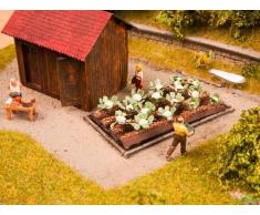 Noch Blumenkohl, 16 Pflanzen 3 x 6 cm