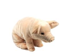 Ana Club Plush 23213010 Plüschtier ACP Schwein, 56 cm