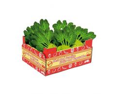 Legler 9855 - Stiege Kohlrabi für Kinderküchen und -kaufläden, 12-er Set