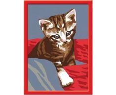 Ravensburger 27852 - Katze Minky, Malen nach Zahlen, 13 x 18 cm