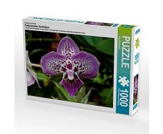 Ein Motiv aus dem Kalender Farbenreiche Orchideen 1000 Teile Puzzle quer