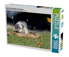 CALVENDO Puzzle Border Collie Welpe in Holzschale 1000 Teile Lege-Größe 64 x 48 cm Foto-Puzzle Bild von Andrea Mayer Tierfotografie