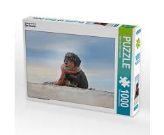 CALVENDO Puzzle Der Dackel 1000 Teile Lege-Größe 64 x 48 cm Foto-Puzzle Bild von Anja Foto Grafia Fotografie