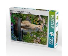 CALVENDO Puzzle Rote Katze auf Holzfass im blühenden Garten 1000 Teile Lege-Größe 48 x 64 cm Foto-Puzzle Bild von Katho Menden