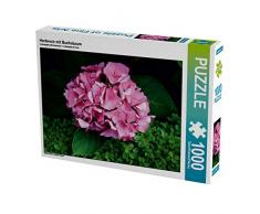 Hortensie mit Buchsbaum 1000 Teile Puzzle quer