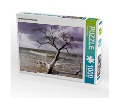 CALVENDO Puzzle Der Winter ist EIN Künstler 1000 Teile Lege-Größe 64 x 48 cm Foto-Puzzle Bild von Renate Grobelnx