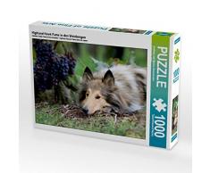 CALVENDO Puzzle Highland Hawk Fame in den Weinbergen 1000 Teile Lege-Größe 64 x 48 cm Foto-Puzzle Bild von Andreas und Marina Zimmermann Fotografie GbR