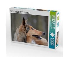 CALVENDO Puzzle Highland Hawk Fame Immer aufmerksam 1000 Teile Lege-Größe 64 x 48 cm Foto-Puzzle Bild von Andreas und Marina Zimmermann Fotografie GbR