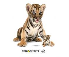 STAR CUTOUTS SC1440 Dekofigur Bengal Tiger, sitzender Stern, ideal für Tierliebhaber, indische Mottopartys und Veranstaltungen, Höhe 73 cm, Mehrfarbig
