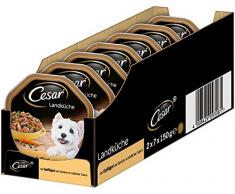 Cesar Hundefutter Nassfutter Landküche mit Geflügel und Gemüse in köstlicher Sauce, 14 Schalen (14 x 150g)