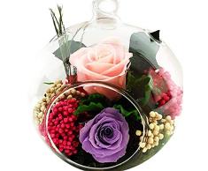 Rosen-Te-Amo Fines Blumenarrangement aus 2 konservierte Rosen in hängende Vase; PREMIUM Blumen-Geschenk & Deko pfleglich handgefertigte - 3 Jahre haltbar ohne Wasser