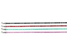 Trixie 6265 Geschirr mit Leine für kleine Kaninchen, Nylon, 20–33 cm/8 mm, 1,25 m