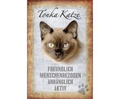 Schatzmix Katze steckbrief: Tonka Katze - freundlich, menschenbezogen, anhänglich, aktiv Metal Sign deko Schild Blech Garten