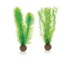 OASE biOrb Federfarn-Set - Aquarium-Deko in Form eines Natur-Elements, Zubehör fürs Aquarium-Becken, 360 Grad Modell in Grün