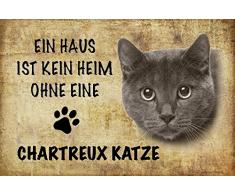 Schatzmix EIN Haus ist kein heim ohne eine Chartreux Katze Metal Sign deko Schild Blech Garten