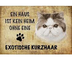 Schatzmix EIN Haus ist kein heim ohne eine Exotische Kurzhaar Katze Metal Sign deko Schild Blech Garten