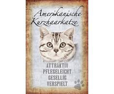 Schatzmix Katze steckbrief: Amerikanische Kurzhaarkatze - attraktive, pflegeleicht, gesellig, verspielt Katze Metal Sign deko Schild Blech Garten