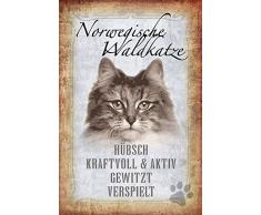 Schatzmix Katze steckbrief: Norwegische WaldKatze - hübsch, kraftvoll & activ, gewitz, verspielt Metal Sign deko Schild Blech Garten