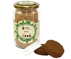 Feel Green Garden In A Glass-Anzuchtset, Minze, Pflanzen Aus Dem Einmachglas & Graspapier, Geschenkidee, Plastikfrei, Made In Austria