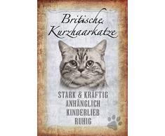 Schatzmix Katze steckbrief: Britische Kurzhaarkatze - stark & kraftig, anghänglich, kinderlieb, ruhig Metal Sign deko Schild Blech Garten