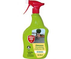 Protect Home Dimaxx AF Grünbelagentferner (ehem. Bayer Garten Dimanin), 500 ml