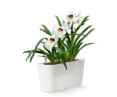 LECHUZA 15560 DELTA 20 Herausnehmbarer Pflanzeinsatz, Weiß Hochglanz, Hochwertiger Kunststoff, Inkl. Bewässerungssystem, für Innenraumbegrünung