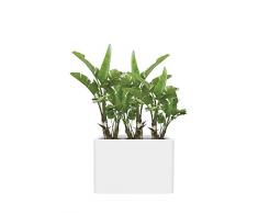 elho pure Soft Brick Divider Wheels 80 Pflanzentopf – Viereckiges Blumengefäß in Weiß – Ideal für Pflanzen im Innen- und Außenbereich – ca. L 29.5 x W 79 x H 59 cm