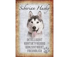 Schatzmix Hunde steckbrief: Sibierian Husky - intelligent, kontakfreudig, konzentriert, freundlich Metal Sign deko Schild Blech Garten