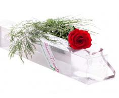 Rosen-Te-Amo – Haltbare ewige Blume mit konserviertem Bindegrün und Grußkarte zum Herunterladen; Infinity Rosen - Deko und Geschenk in neue verstärkte Verpackung