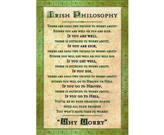 Schatzmix Irish Philosphy - Why Worry - spruchschild Metal Sign deko Sign Garten Blech