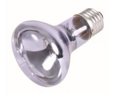 Trixie 76006 Neodymium Wärme Spot Lampe